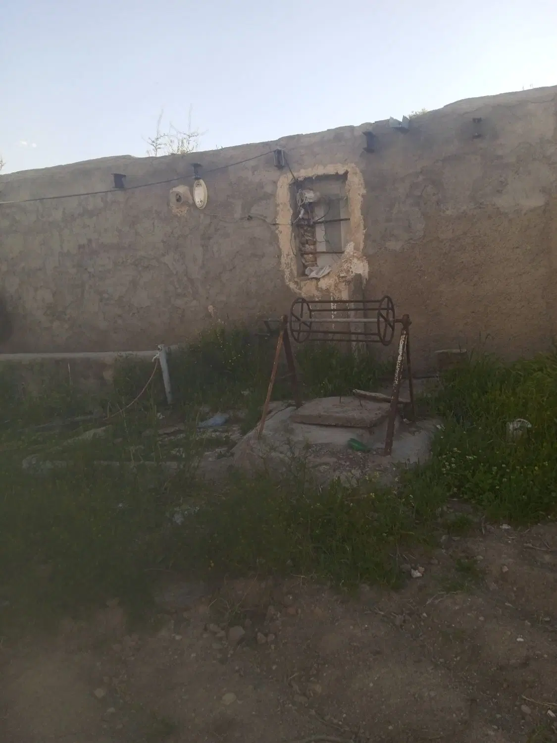 فروش دام داری