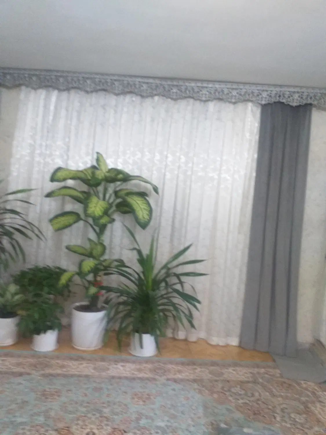 واحد ۷۱برای اجاره رهن کامل
