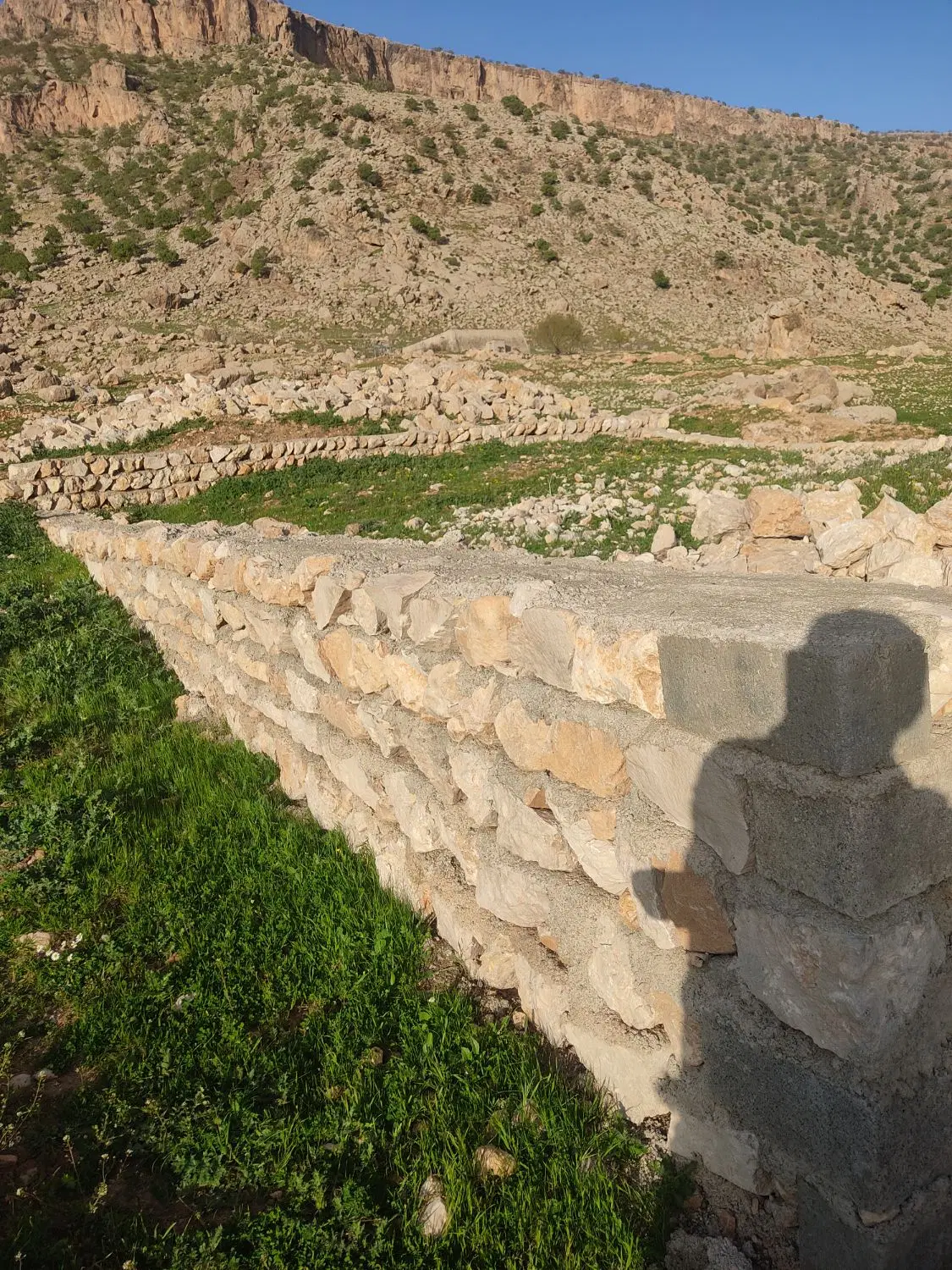 زمین مسکونی سند تک برگ