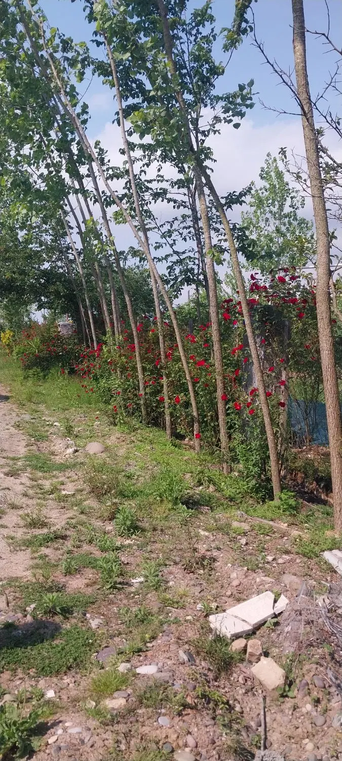 زمین مسکونی نقلی