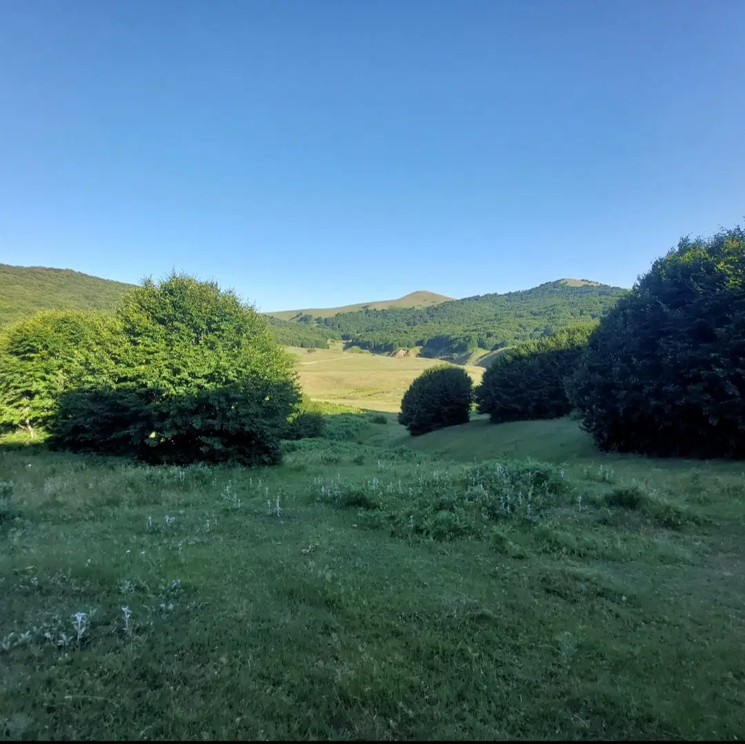 زمین ۱۰۰۰ متری ویلایی