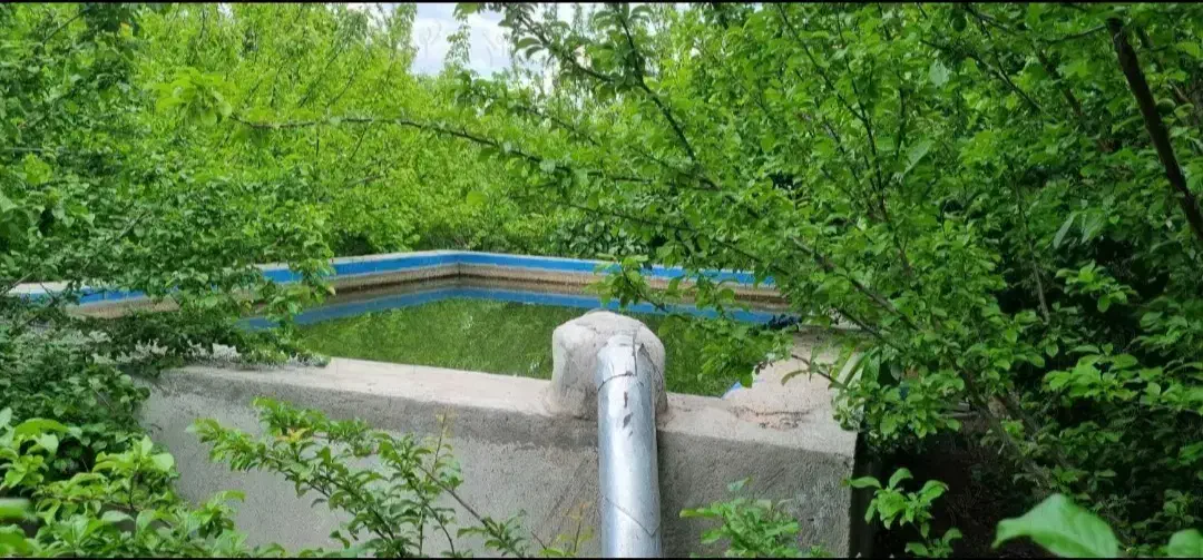 باغ بادام در خسروشاه