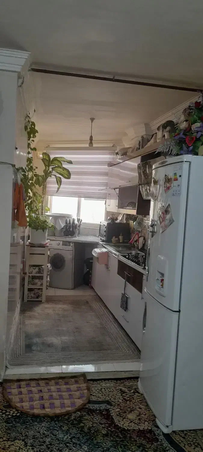 مالکین محترم بخوانند