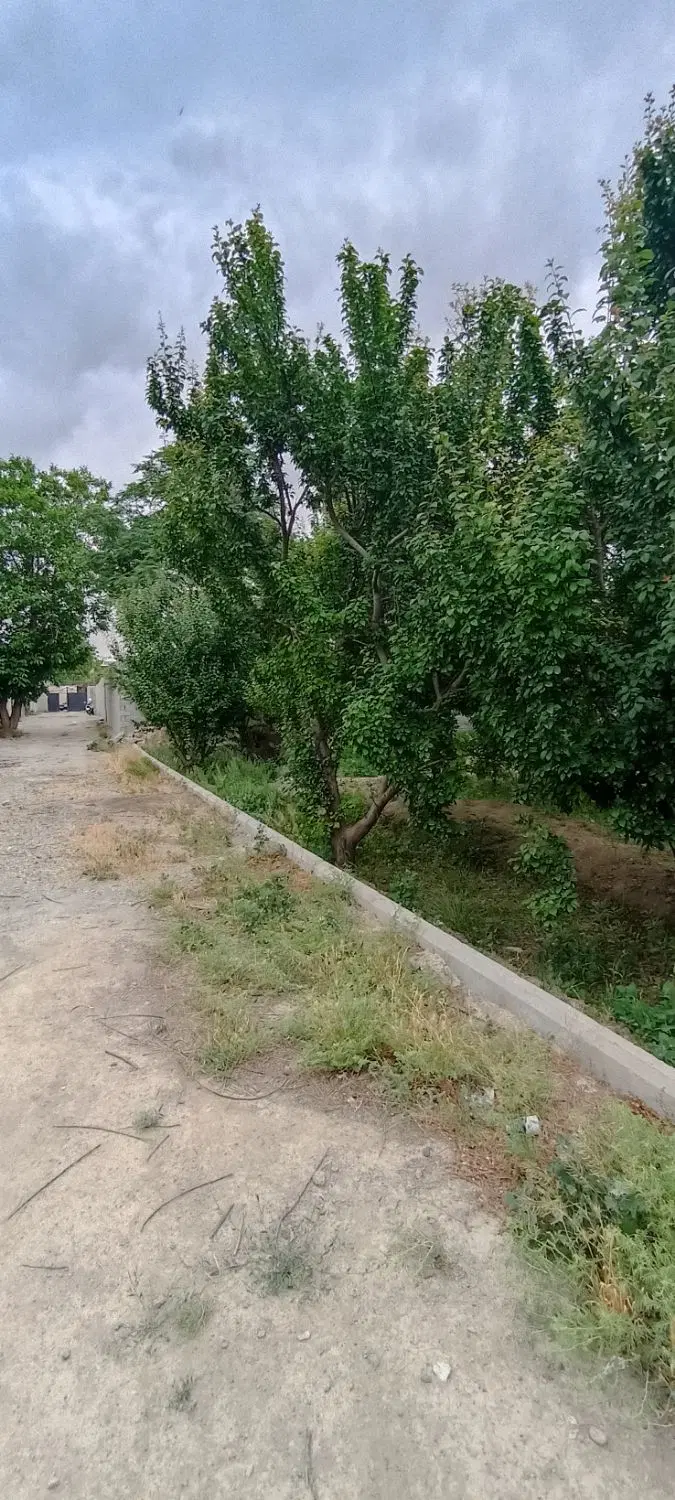 ۶۵۰ متر باغچه نقلی خوش قواره بابنای۱۰۰ ساله