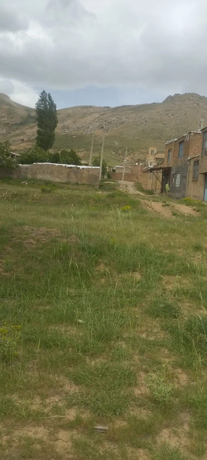 فروش زمین ساعت به همراه باغ