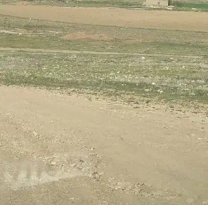 زمین ۱۰۵ متری برزنجه شمال نیروگاه برق