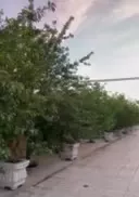 هندودر باغ رستوران مسکونی فول امکانات