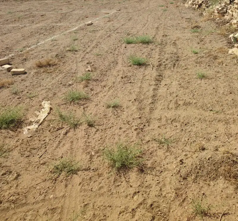 زمین فروشی انتهای صنعت (شرکت ایاک )
