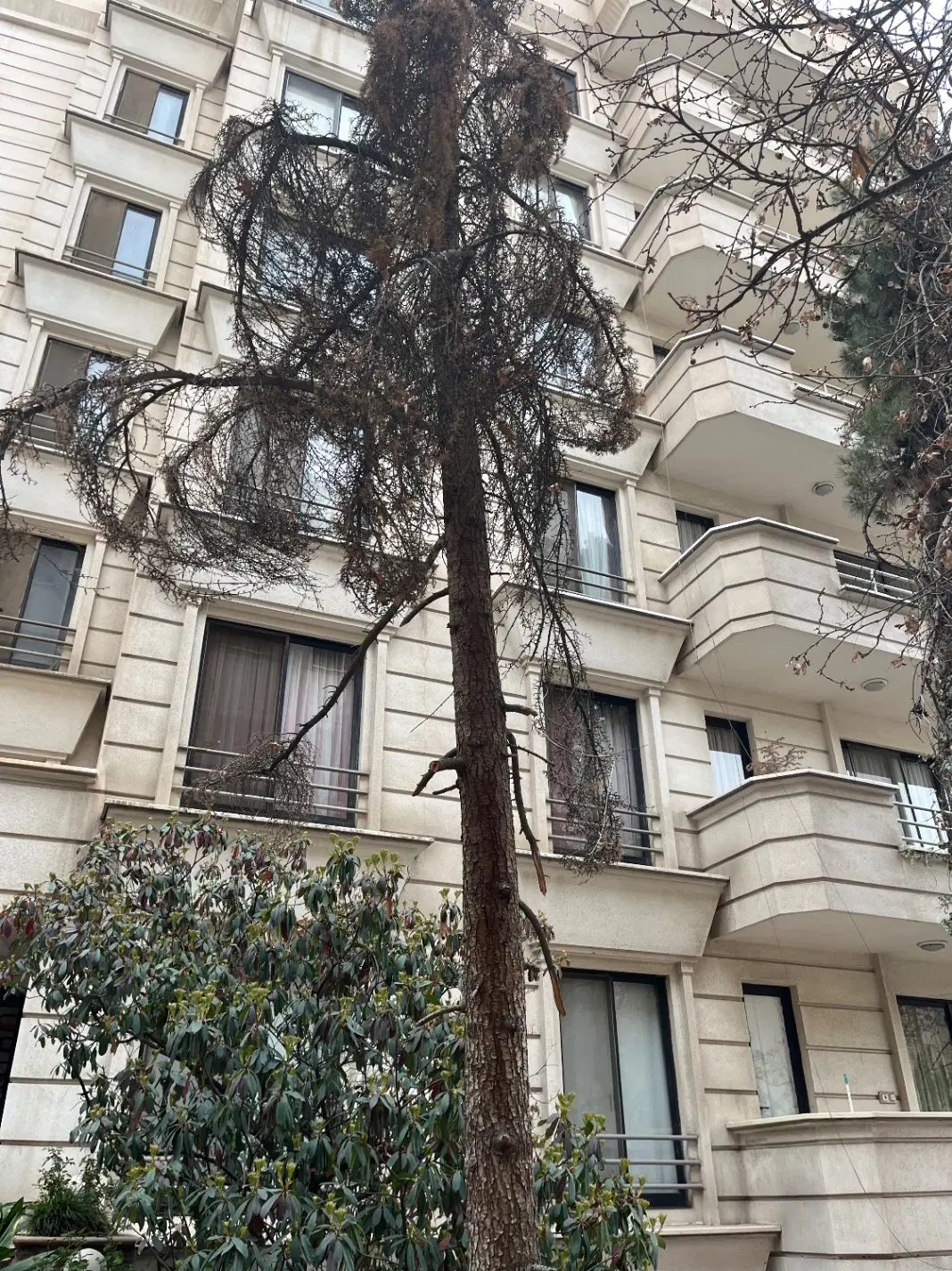 اجاره آپارتمان