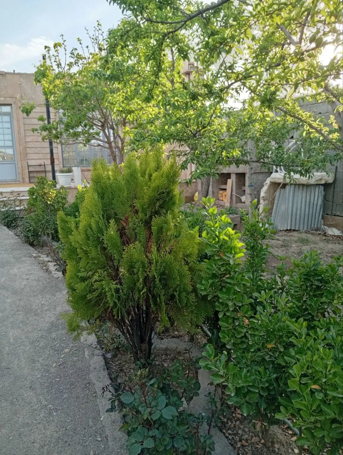 باغ ویلا