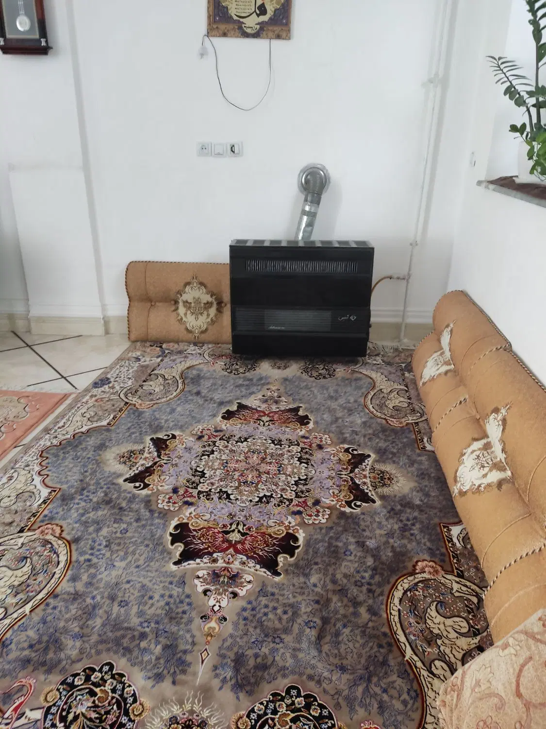 همخانه خانم رایگان