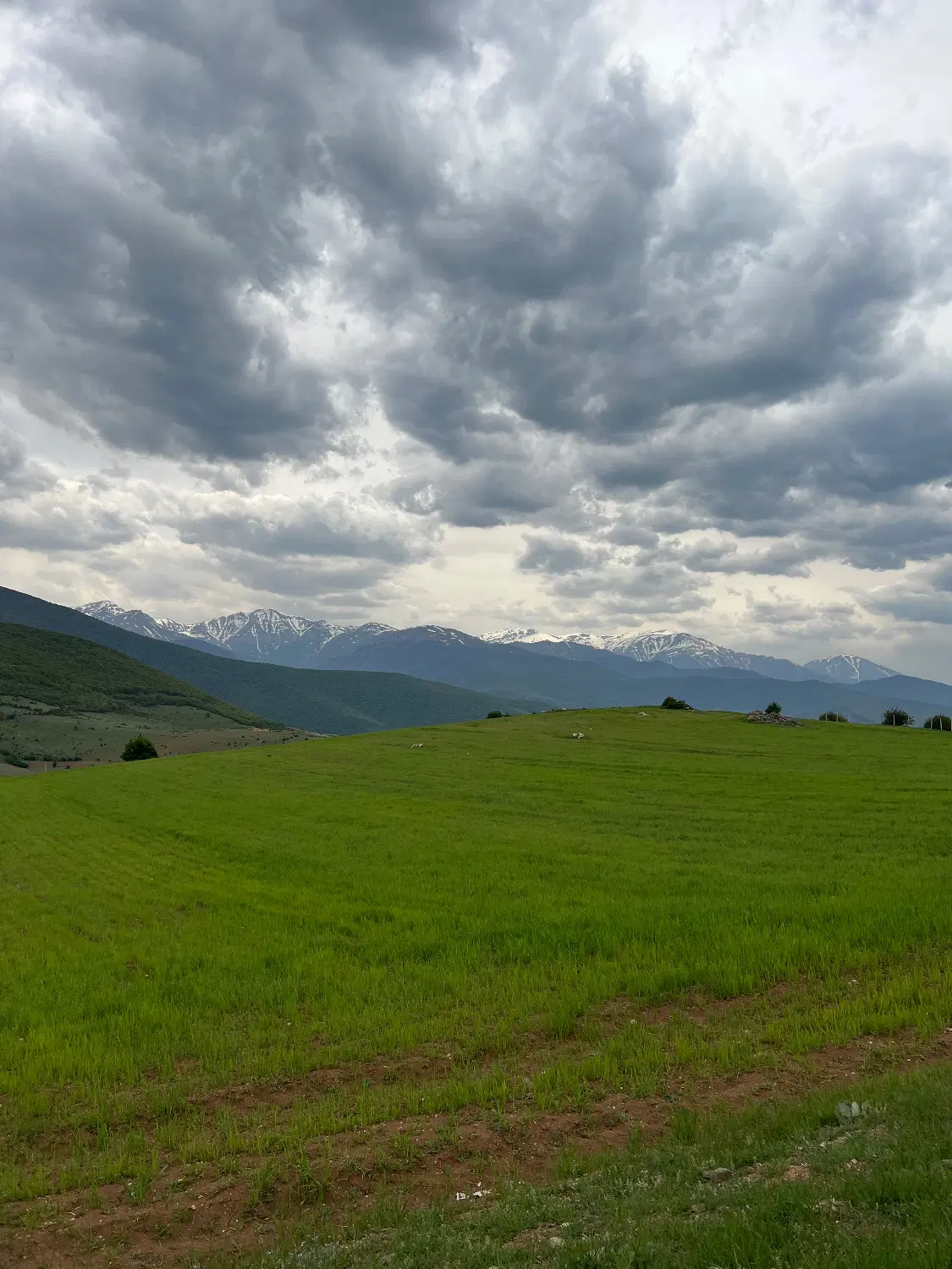 زمین ۳۰۰۰ متر در نوشهر،کجور،کوهپر