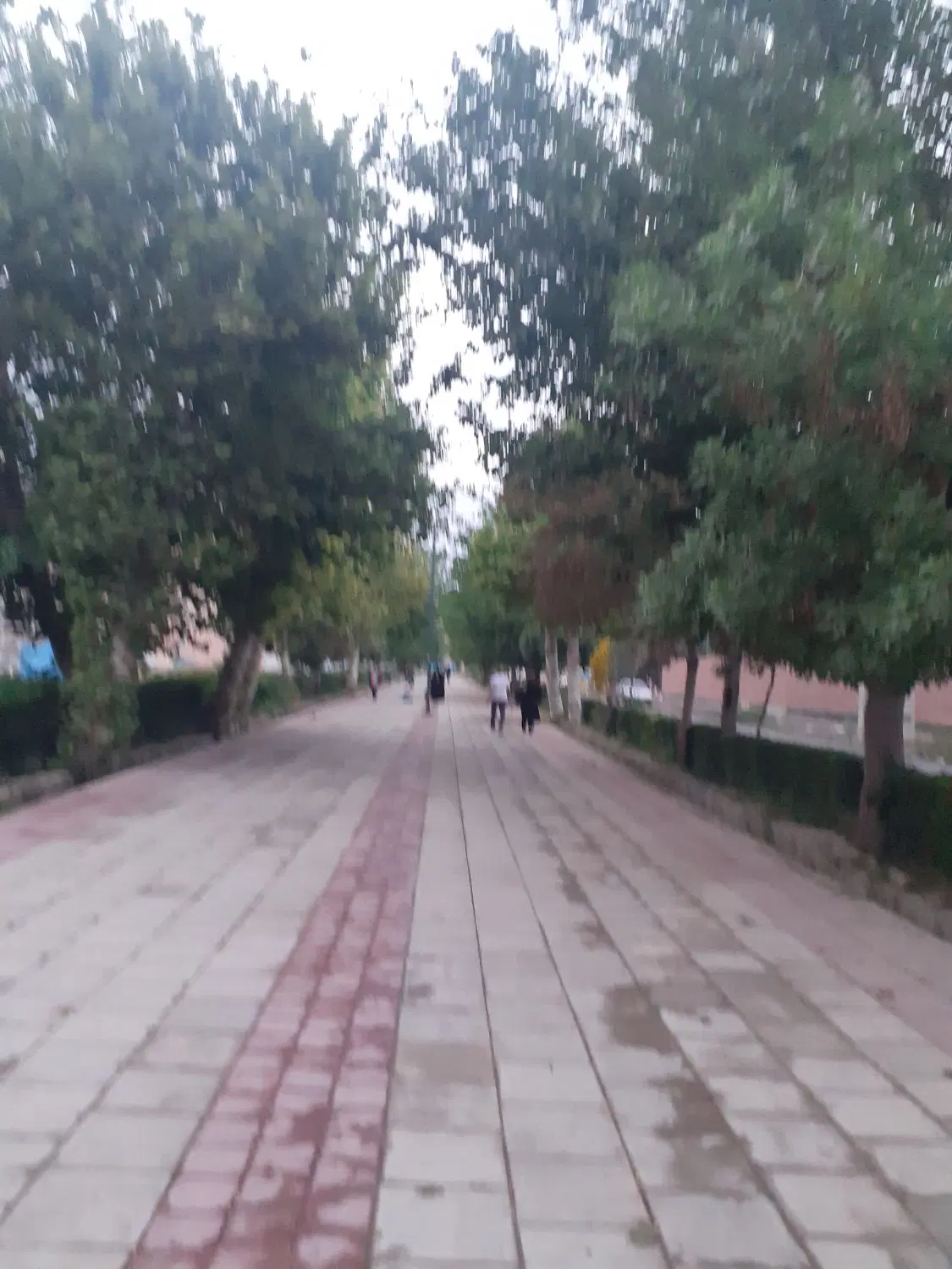 شهرک گلها پایین پارک