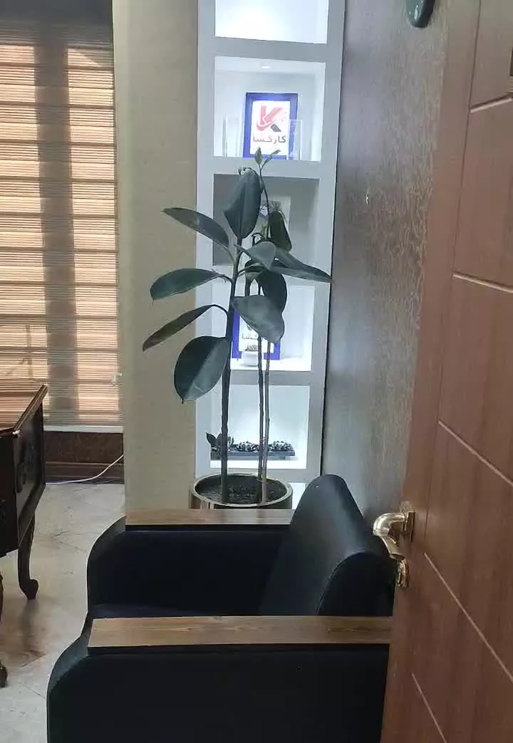اجاره یک یا چند اتاق از یک مطب بدون پول پیش