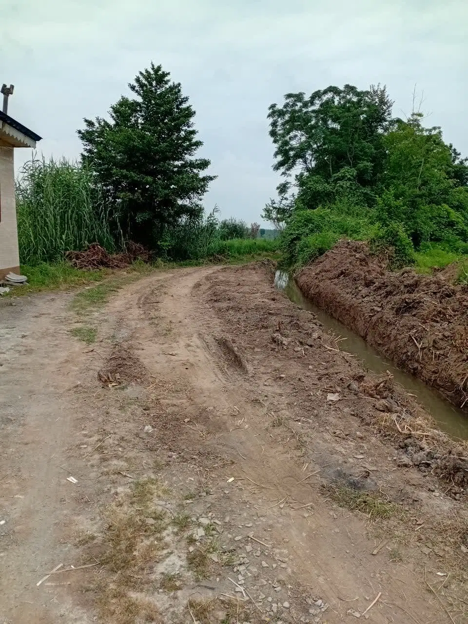 زمین دوبر ۴۰۰ متر باغی