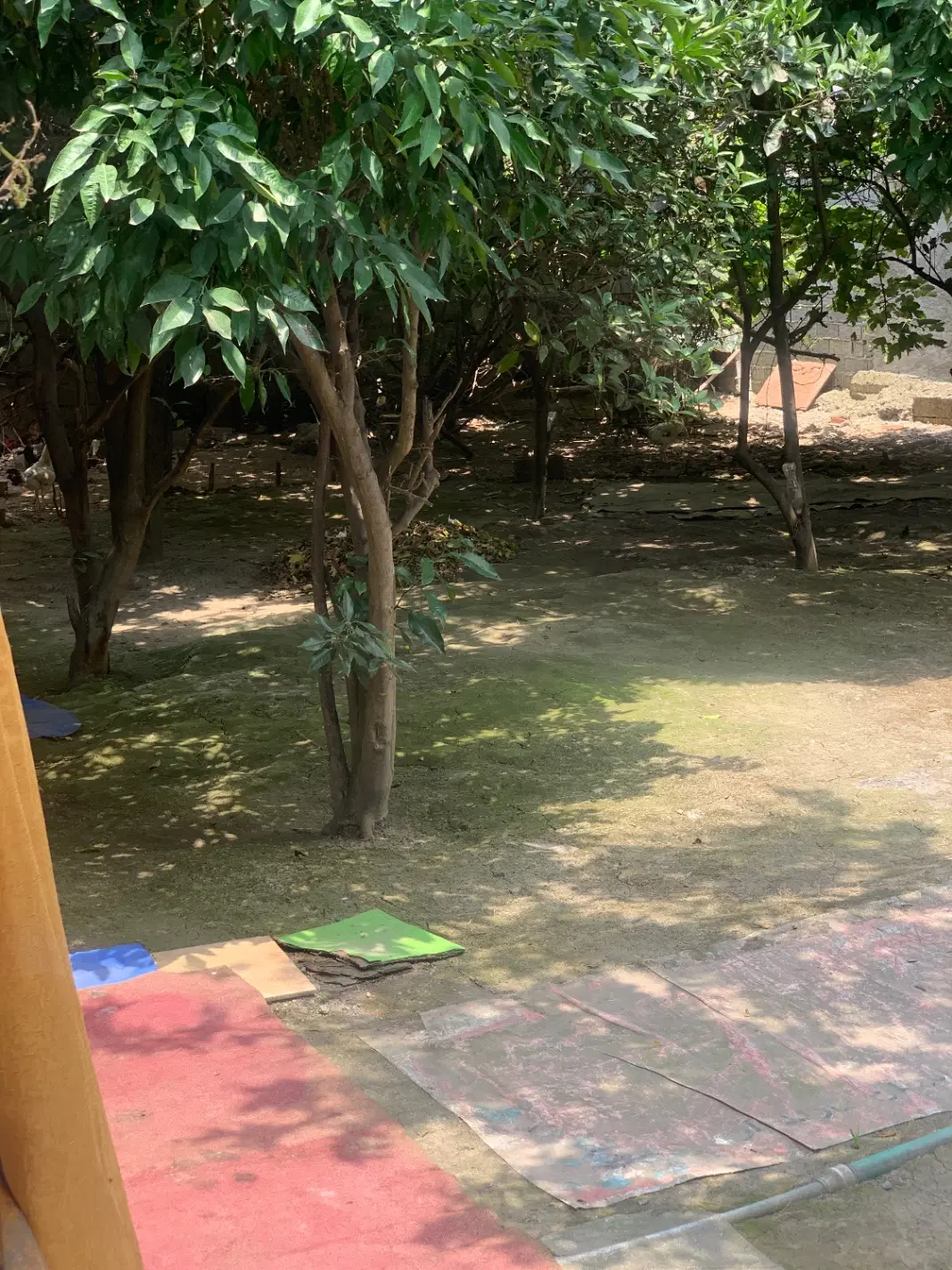 خانه ویلایی