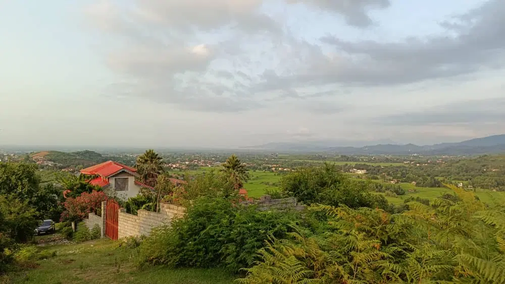 زمین باغی جنگلی روستایی