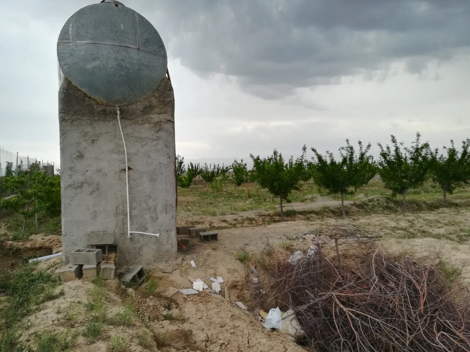 باغچه هزار متری