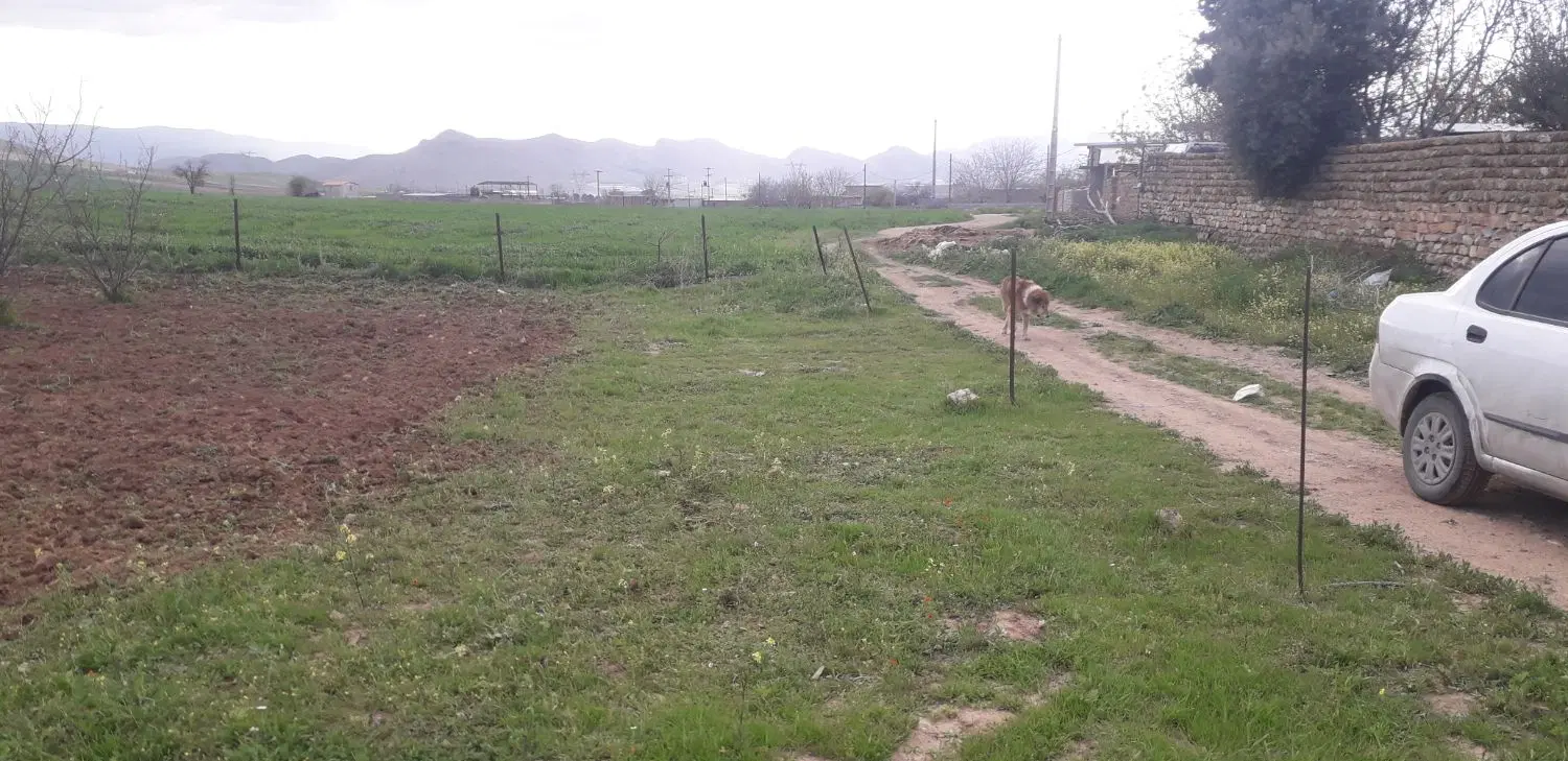 زمین مسکونی ۴۰۰متر کمالوند