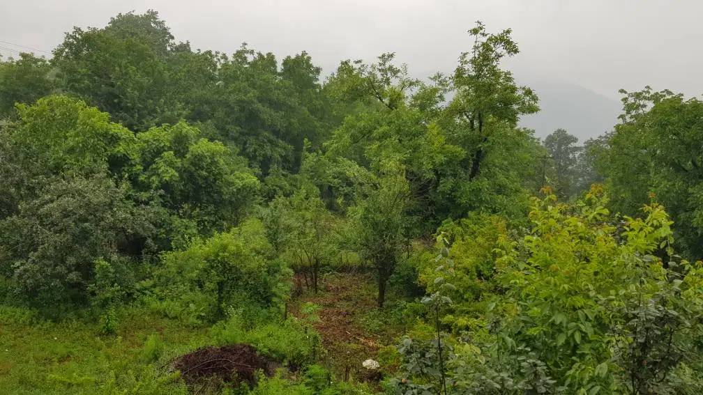 زمین ویلایی مسکونی