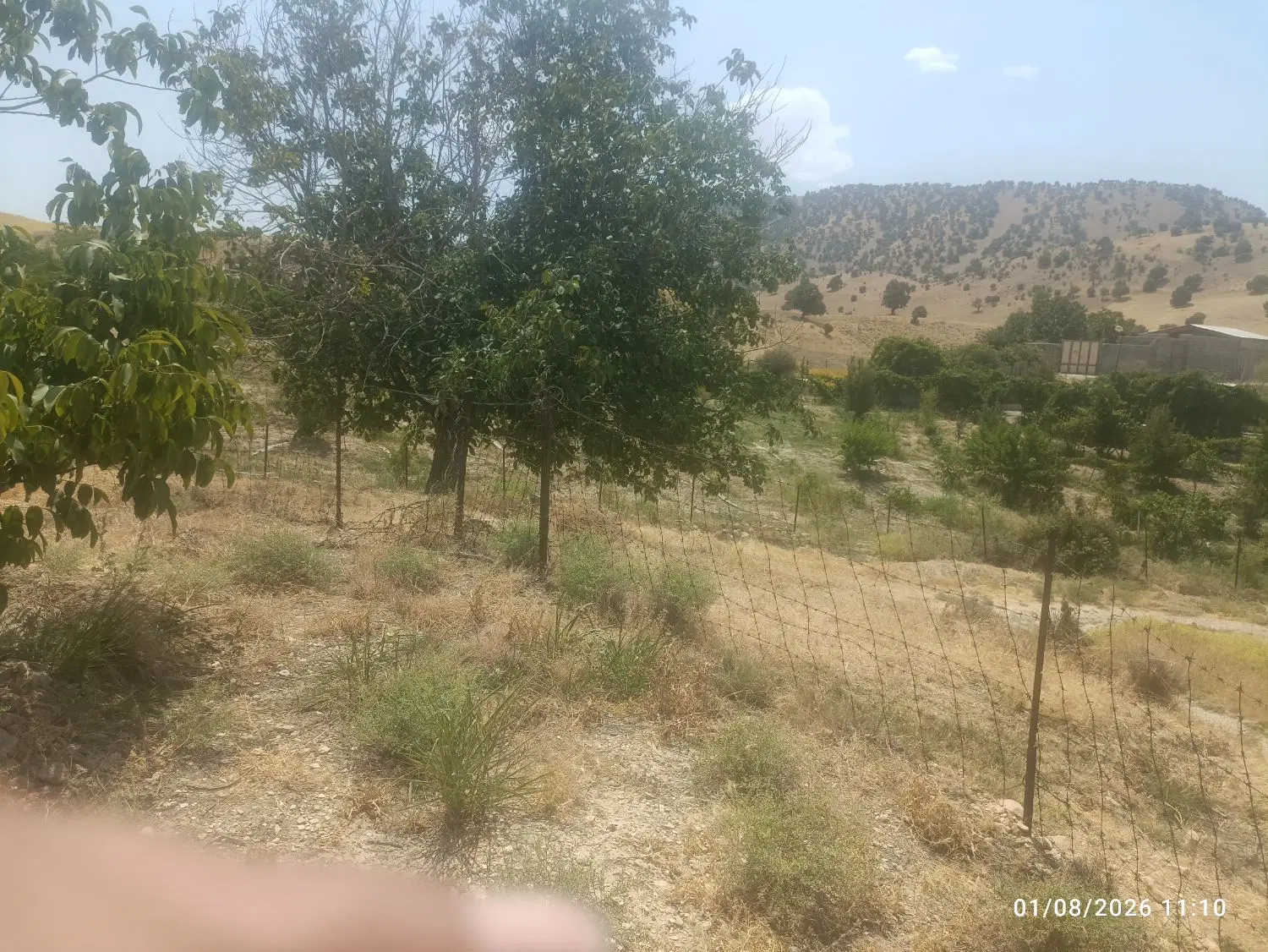 زمین باغ بلیین