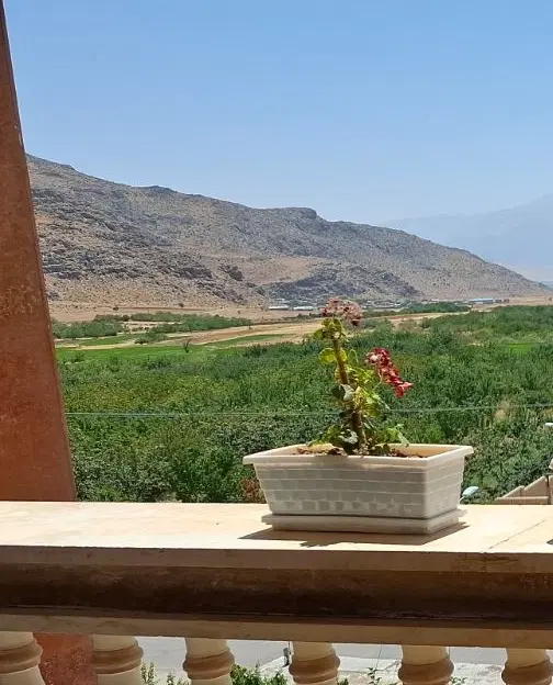فروش زمین 336 متری 2 نبش اکبر آباد