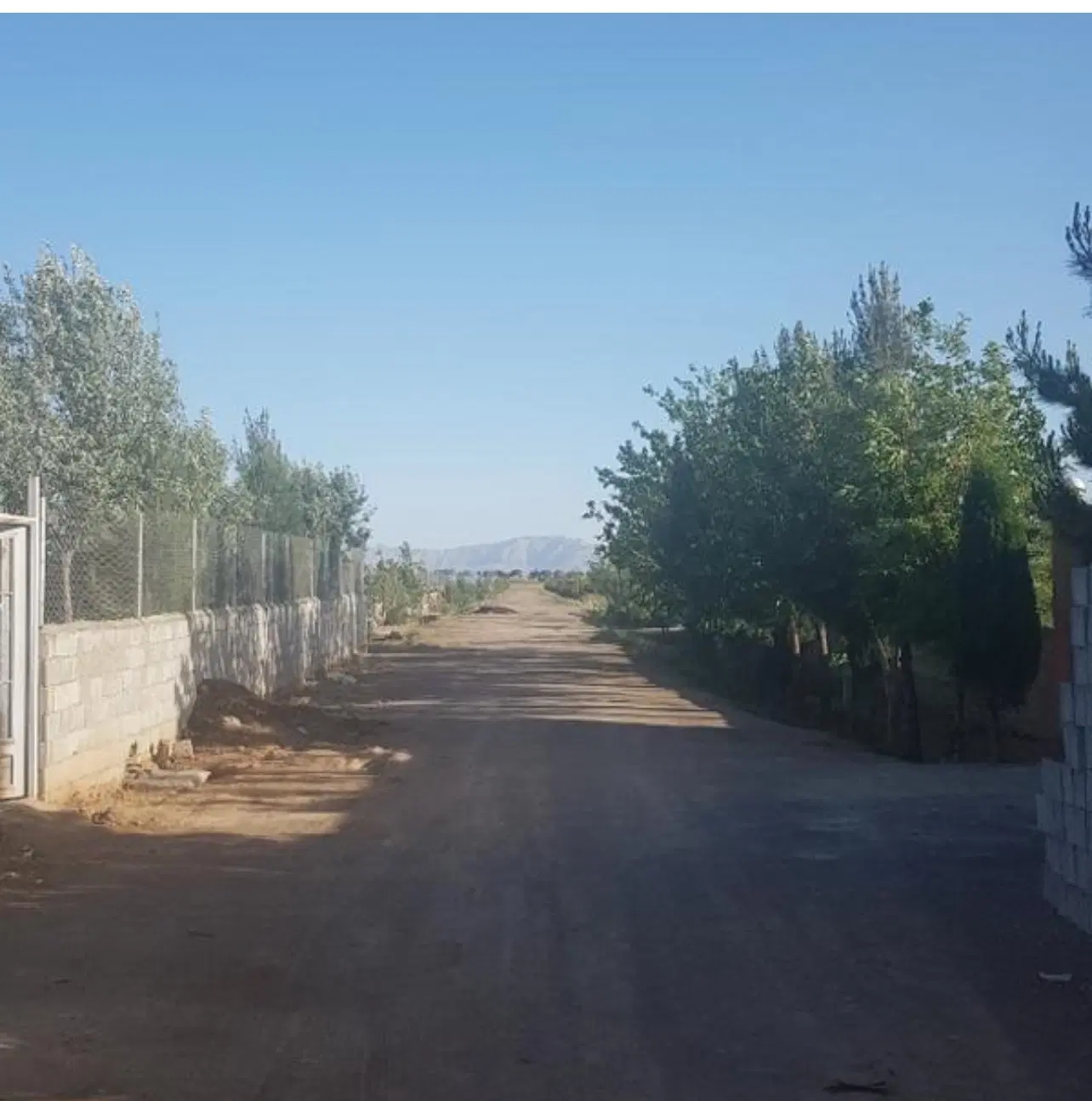 زمین باغی بهترین موقعیت شهرک باغی
