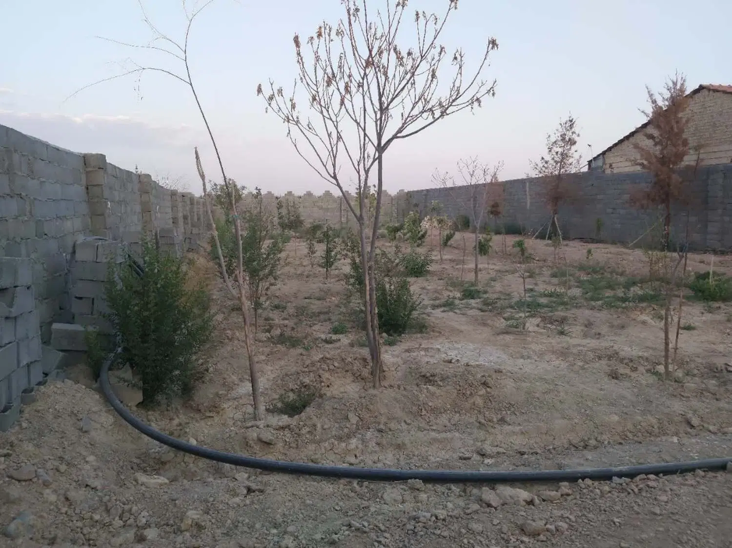باغ 1000 متری منشیان با چاه شخصی و امکانات