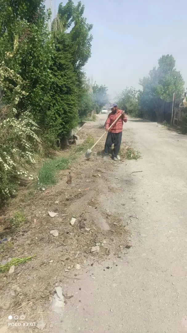باغچه چهار دیواری متراژ ۴۶۵ متر سند تک برگ سبز