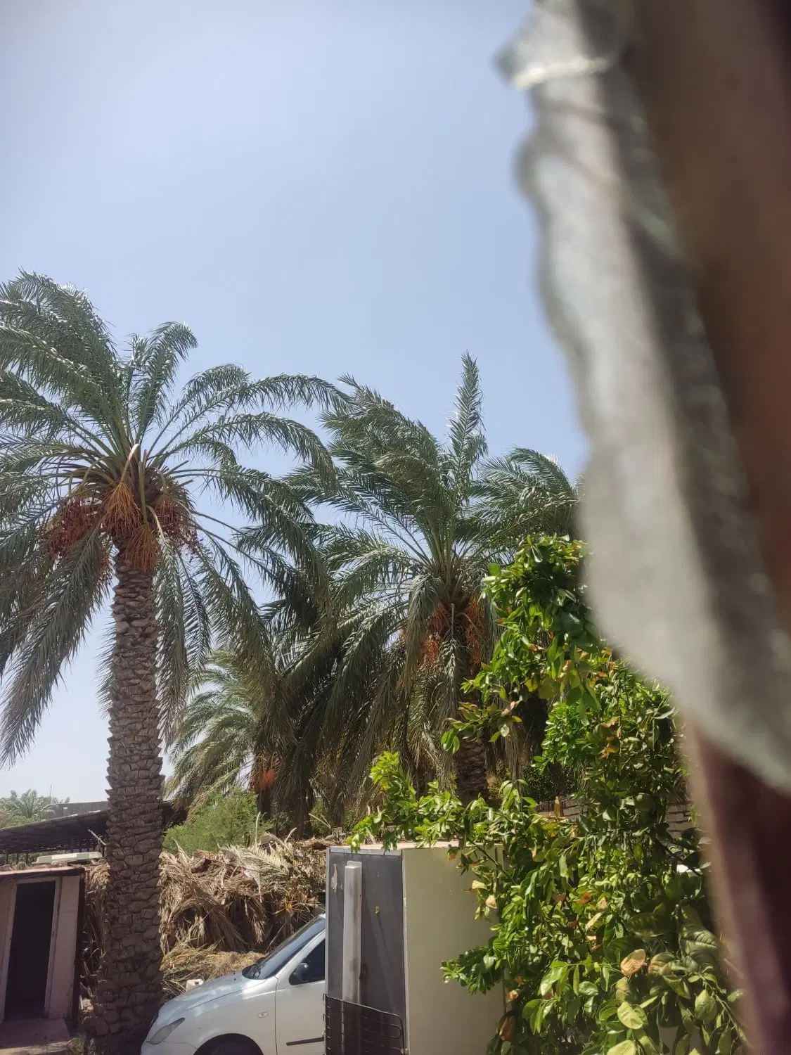 منزل اجاره ای بم...بروات