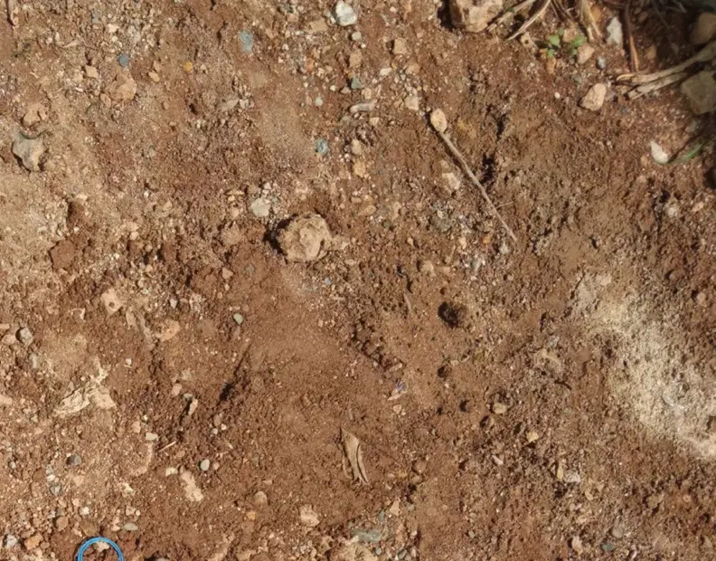 زمین باغچه