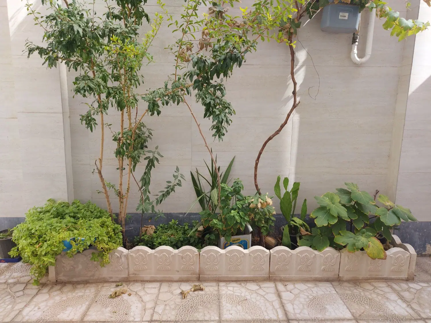 اجاره ۶۰متری شهرک فجر