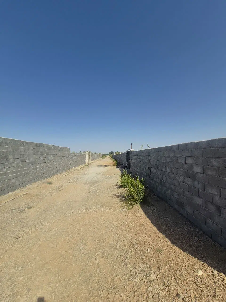 باغ مناسب ویلا سازی