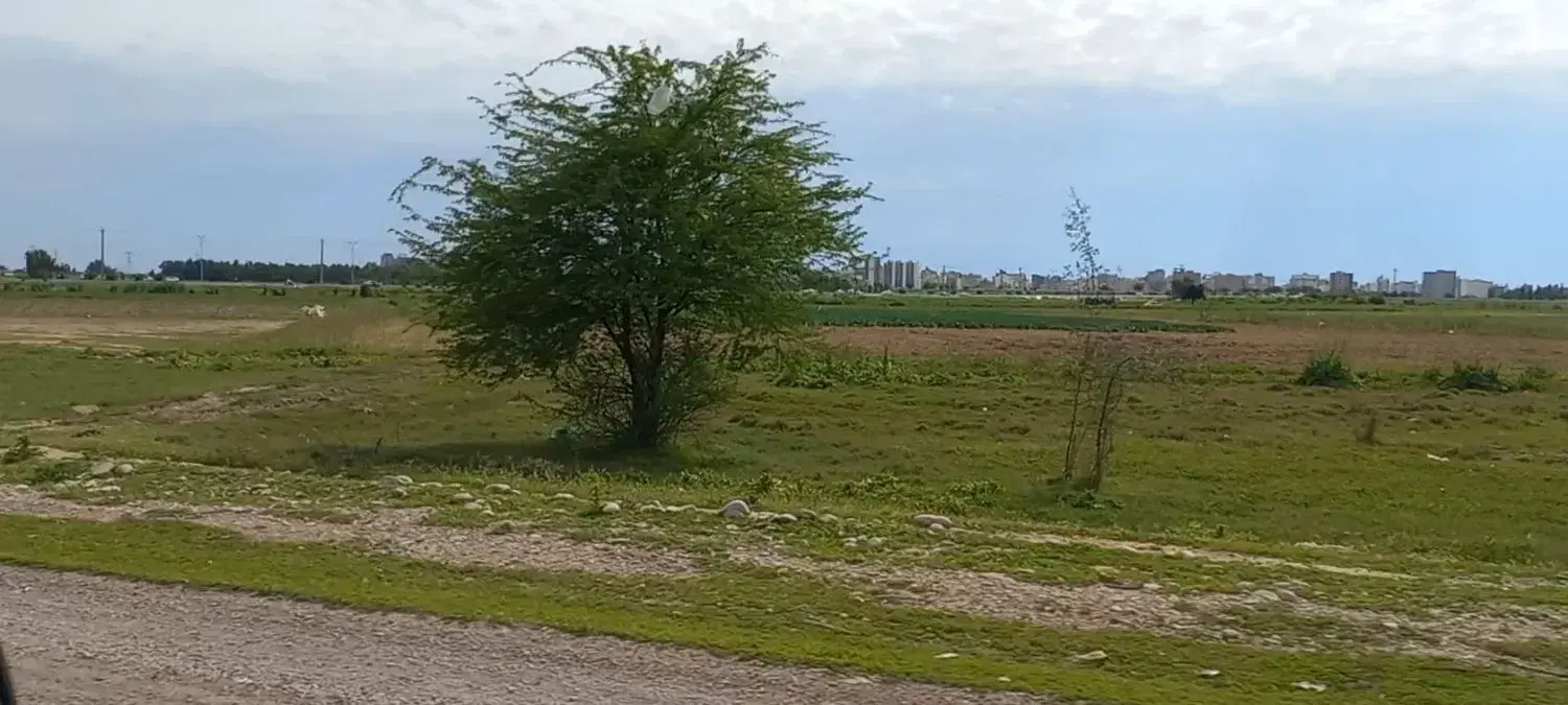 زمین مسکونی، طرح سروش