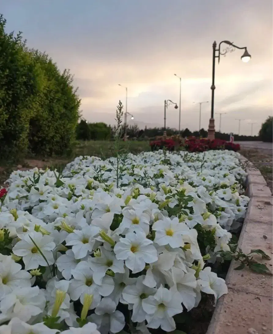 ۱۰۰۰ متری کاریزلند