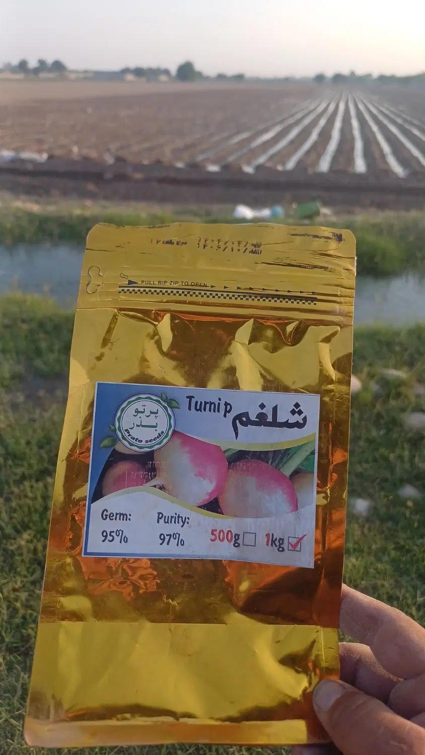 زمین برا کشت شلغم یک کشت می خواهم