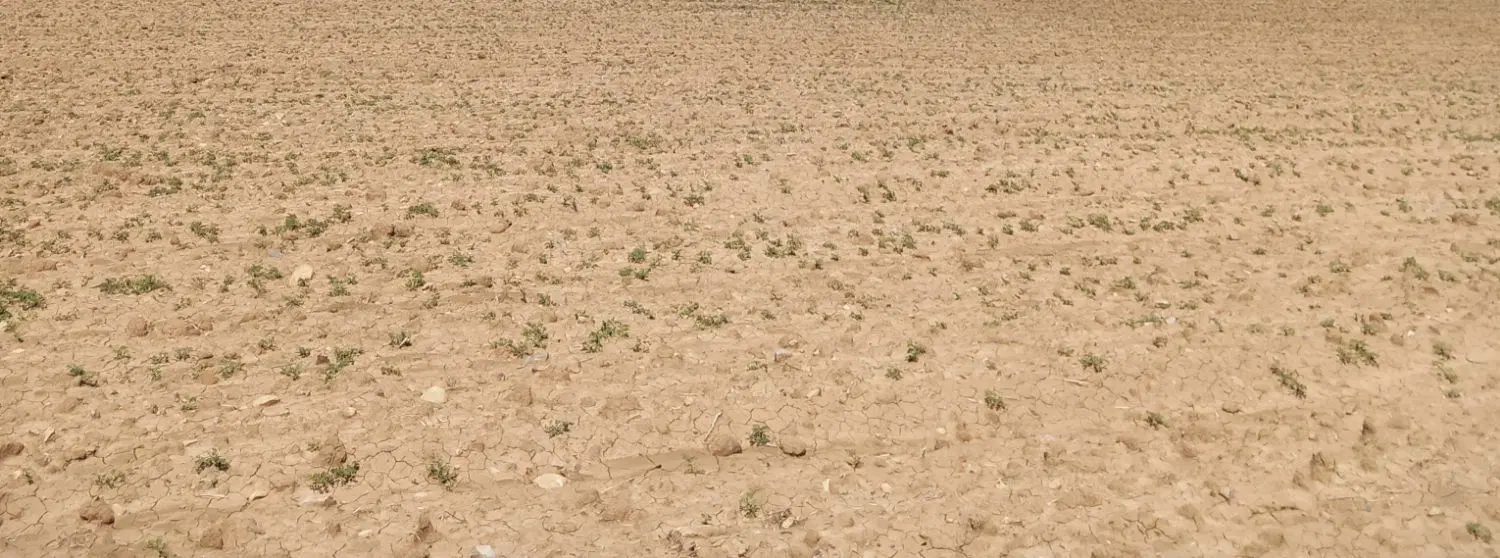زمین تجاری مسکونی