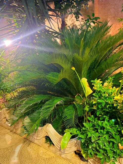 خانه ویلایی