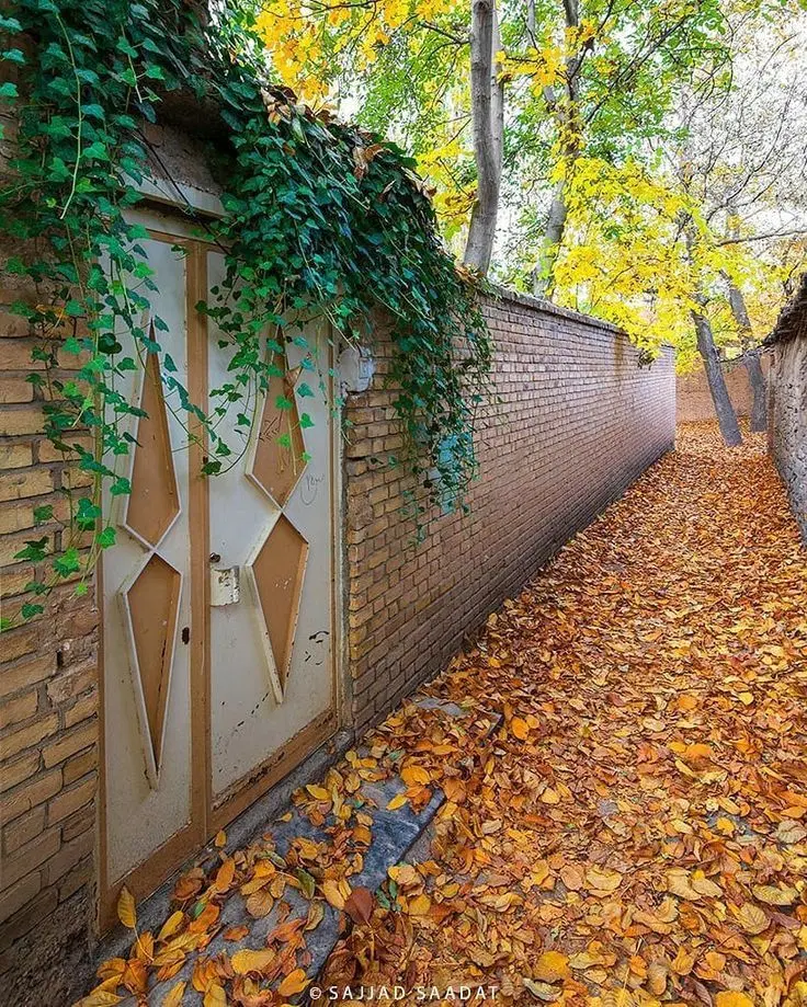 شمال میدان هروی_۲۰۰ متر کلنگی_قابلیت تجمیع