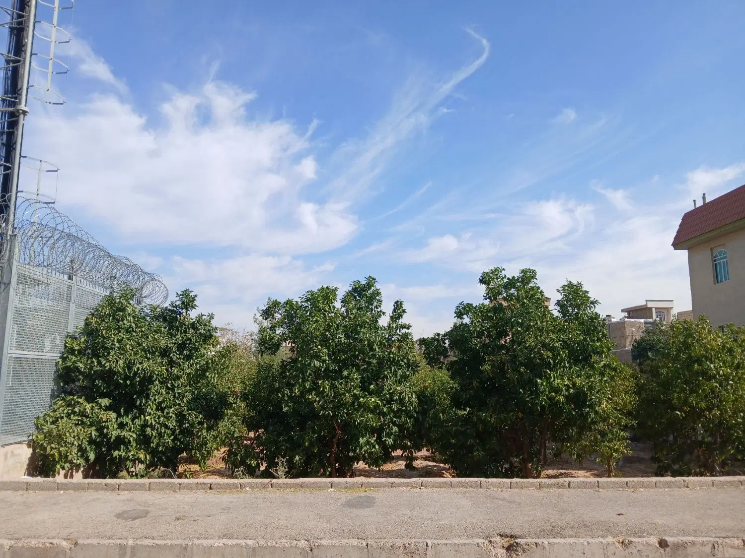 رهن و اجاره سوییت