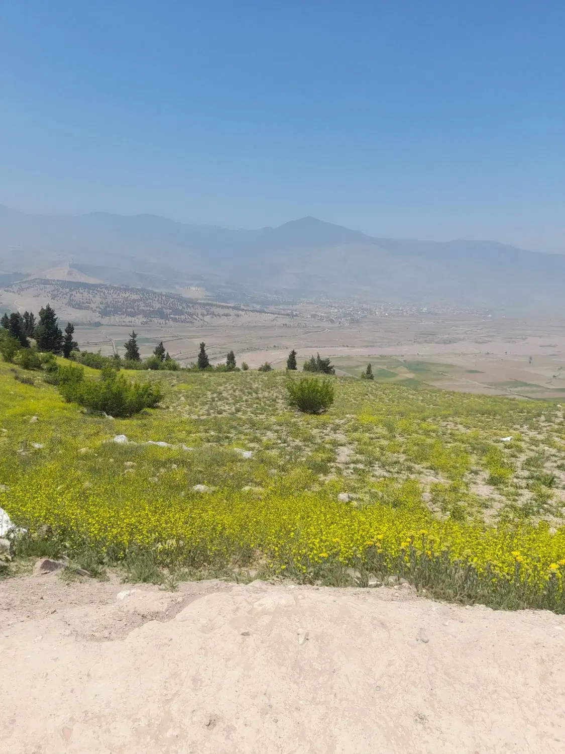 تهاتر زمین با ماشین یا نقد