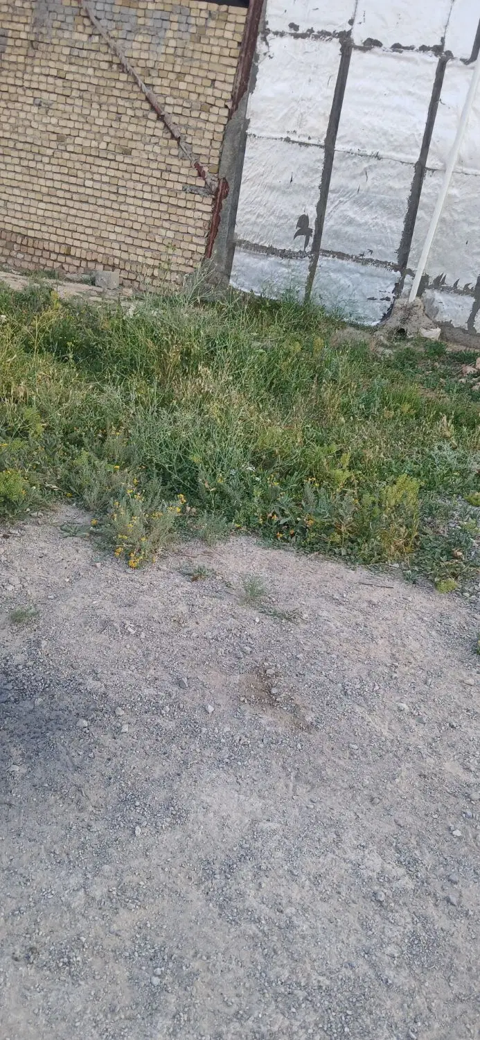 زمین مسکونی