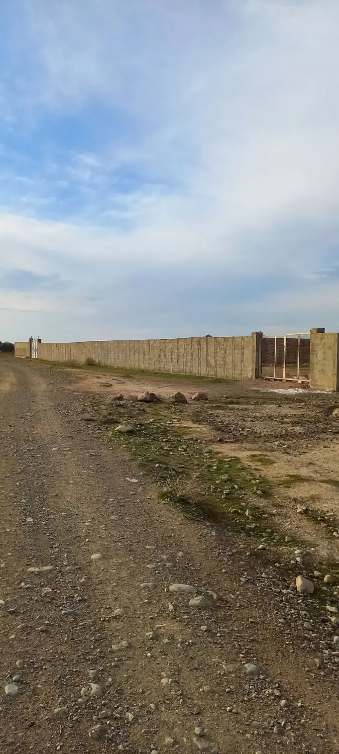 ۴۵۵۰ متری گاوداری ۴۹ راسی سند تک برگ