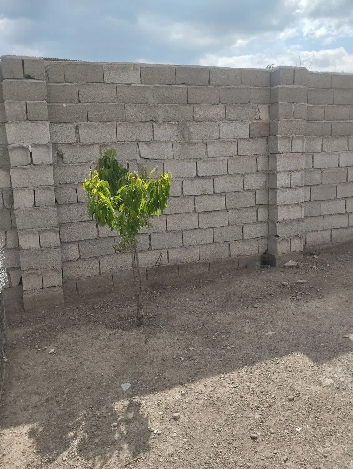 فروش زمین چهار دیواری