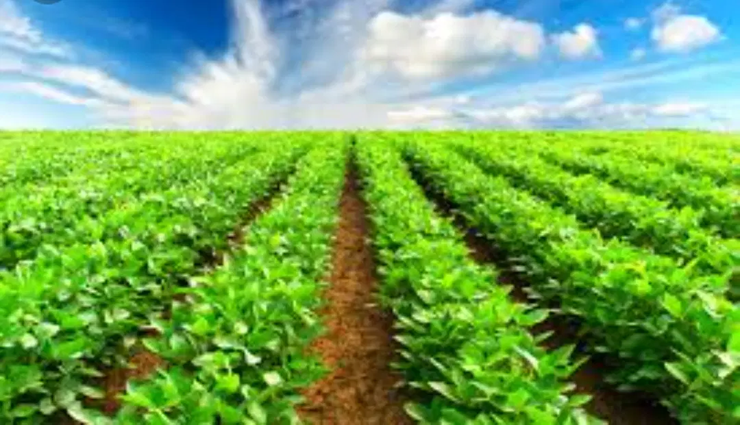 ۳۸۰۰ متر زمین و یک ساعت آب قنات در روستای بزنج