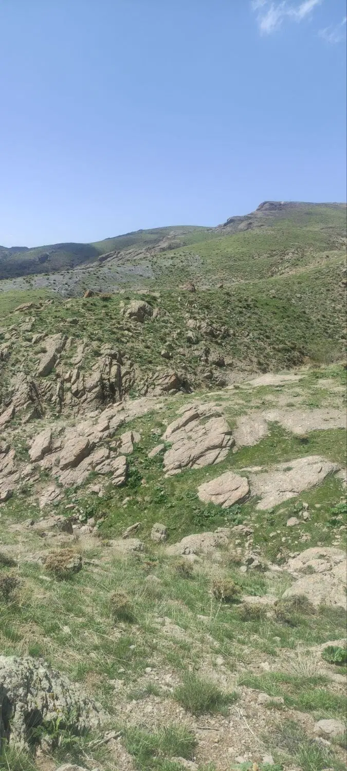 یه قطعه زمین فروشی