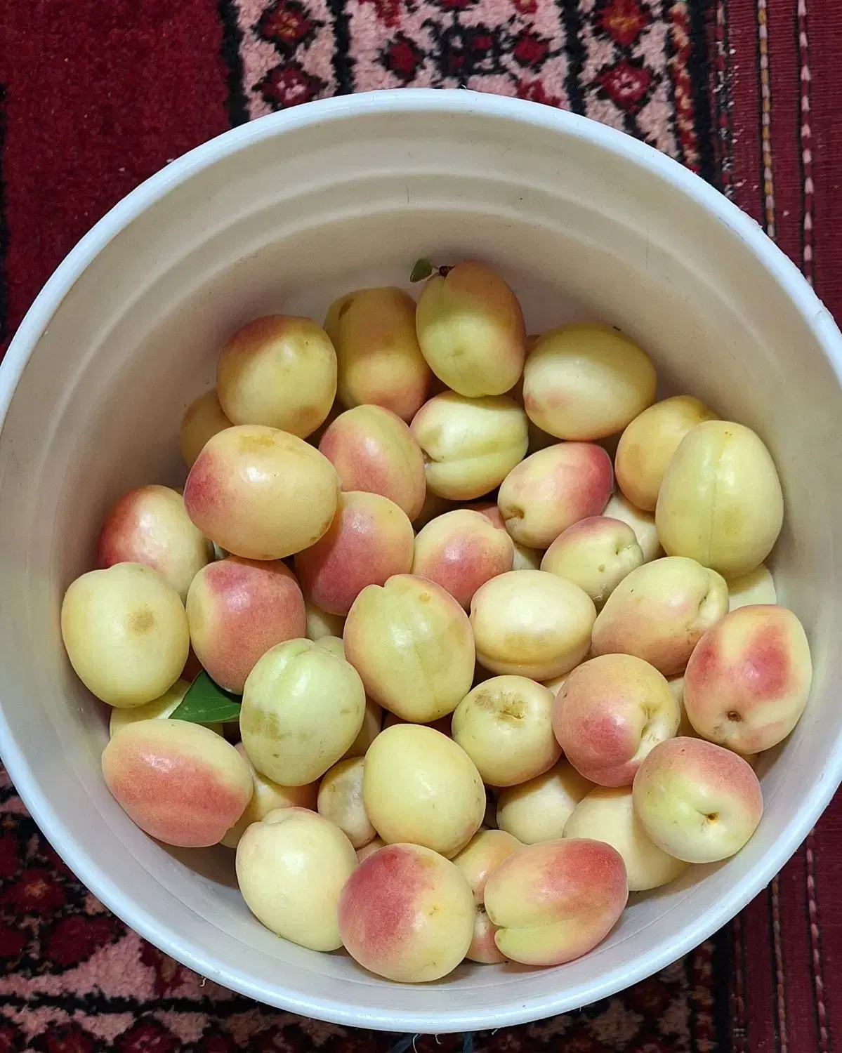 باغ وزمین کشاورزی
