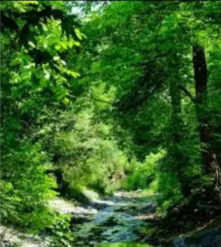 زمین باغی قابل تهاتر و معاوضه با خودرو و طلا