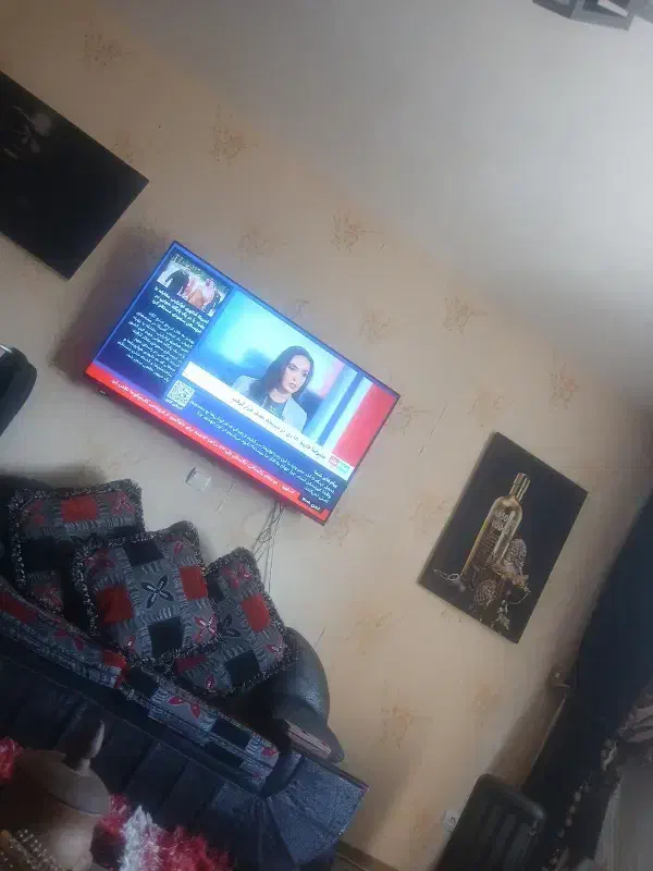 خواستار همخانه همخونه در سهند