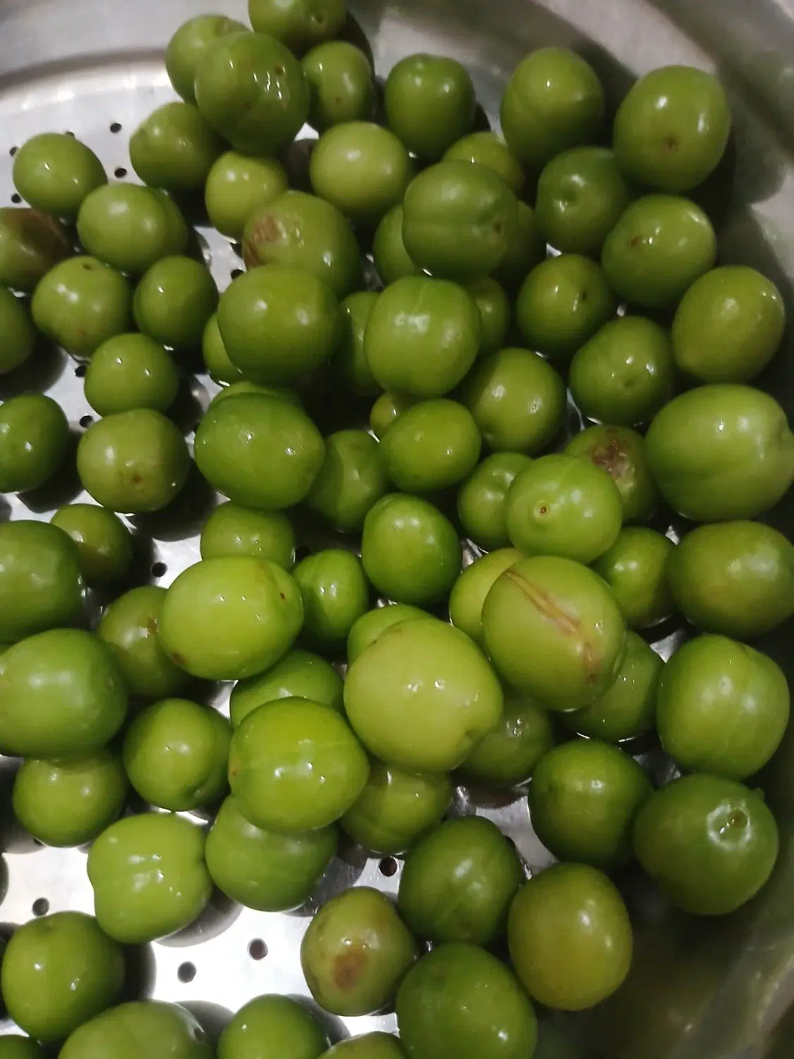 کرایه مغازه بزرگ در بازار روز بازار سبزی سر پوشید